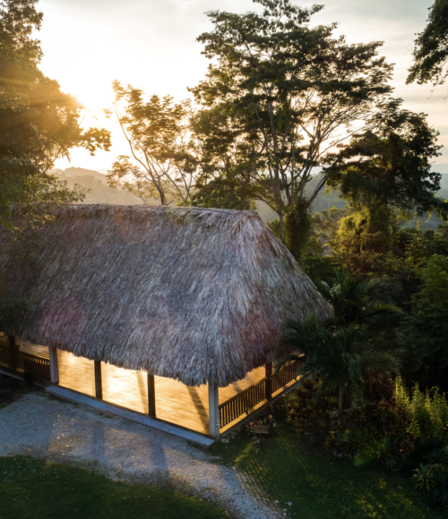 Screen-Shot-2019-12-18-at-1.18.01-PM-500x580